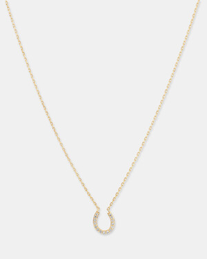 Horseshoe Necklace with 0.10 Carat TW of Diamonds in 10kt Yellow Gold