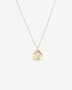 Aquarius Zodiac Necklace in 10kt Yellow Gold