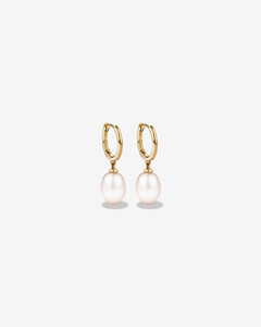 Hoop Earrings with Cultured Freshwater Pearls in 10kt Yellow Gold