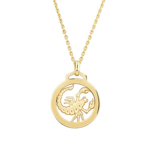 Scorpio Zodiac Necklace in 10kt Yellow Gold