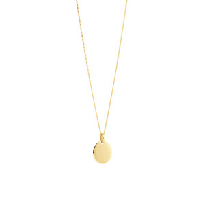 Oval Disc Pendant in 10kt Yellow Gold