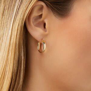 Hoop Earrings in 10kt Yellow Gold