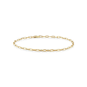 19cm (7.5") 2mm Hollow Paperclip Bracelet in 10kt Yellow Gold