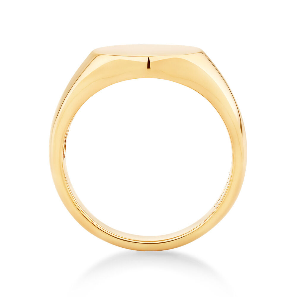 Men's Oval Signet Ring in 10kt Yellow Gold